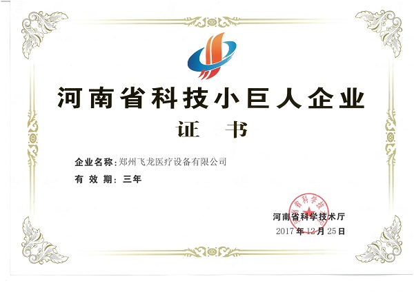 飛龍醫(yī)療榮獲河南科技小巨人企業(yè)證書(shū)